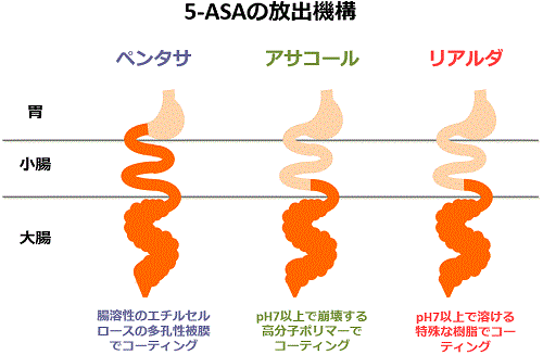 5-ASAの放出機構