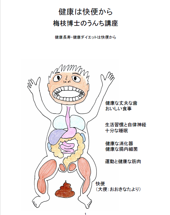 健康ダイエット・健康長寿は快便から_Top